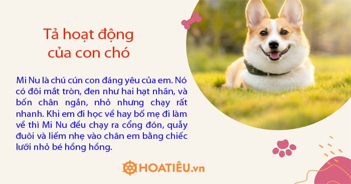 Tả hoạt động của con chó lớp 4