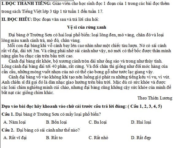 Đề kiểm tra Tiếng Việt lớp 3 học kì 1 Cánh Diều