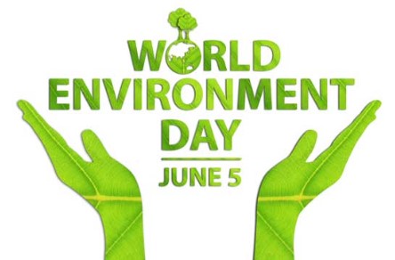  Em hãy viết bài tuyên truyền về Ngày môi trường thế giới 