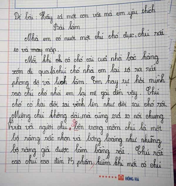 Tả một con vật mà em yêu thích