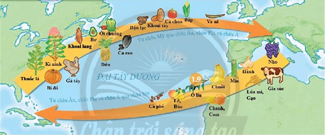 Cho ví dụ về ảnh hưởng của con người đến sự phát triển và phân bố sinh vật