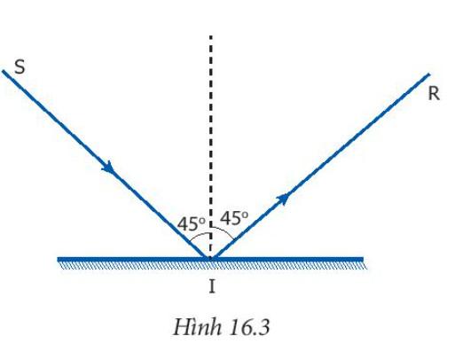 Đề thi học kì 1 KHTN 7 Cánh Diều