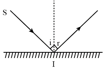 Đáp án đề thi học kì 1 KHTN 7 Chân trời sáng tạo
