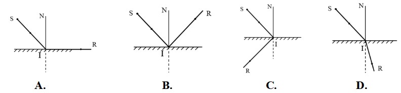 Đề thi học kì 1 KHTN 7 Chân trời sáng tạo