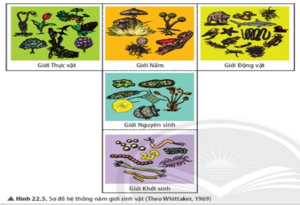 Đề thi môn Khoa học tự nhiên lớp 6 kì 1 Chân trời sáng tạo