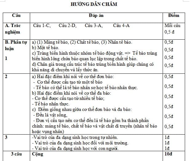 Đáp án Đề thi cuối kì 1 KHTN 6 Chân trời sáng tạo