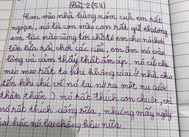 Bài văn tả con mèo hài hước