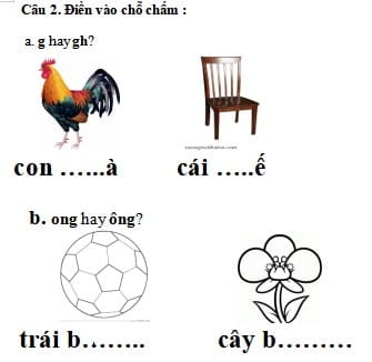 Đề thi Cuối Học kì 1 Tiếng Việt lớp 1 Kết nối tri thức