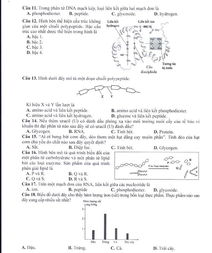 Nội dung đề minh họa 2025 môn Sinh