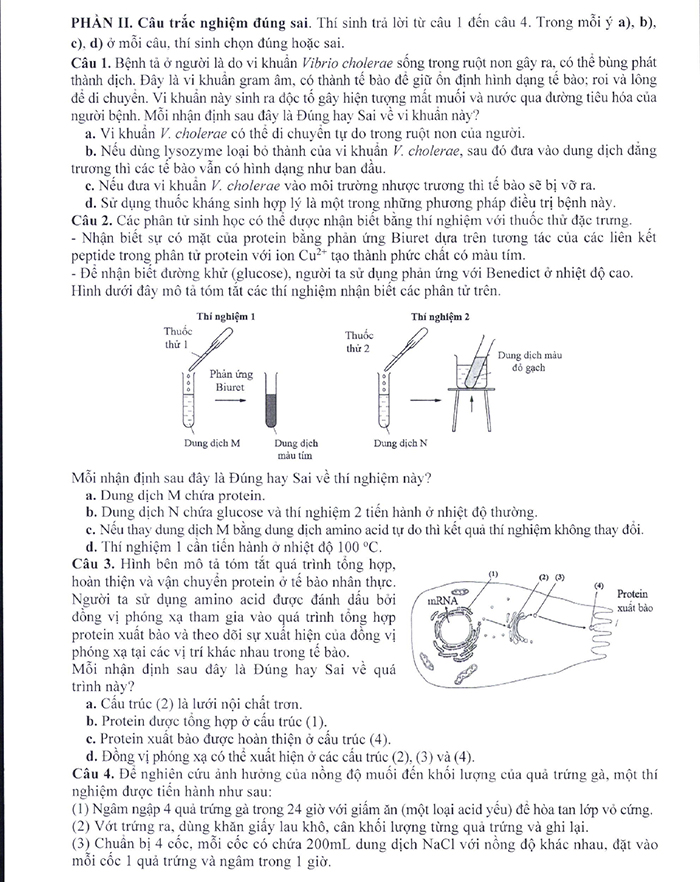 Nội dung đề minh họa 2025 môn Sinh