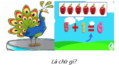 Thiết kế bài dạy minh họa Tích hợp giáo dục quyền con người lớp 3