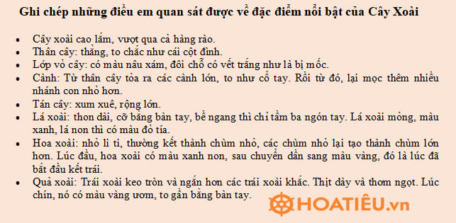 Quan sát một cây bóng mát được trồng ở trường hoặc nơi em ở và ghi chép lại những điều em quan sát được