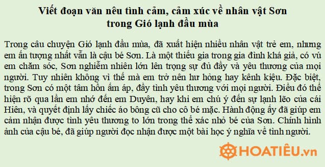 Viết đoạn văn nêu tình cảm, cảm xúc về một nhân vật trong văn học