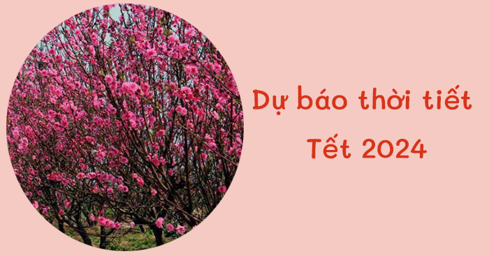 Dự báo Tết nguyên đán 2024
