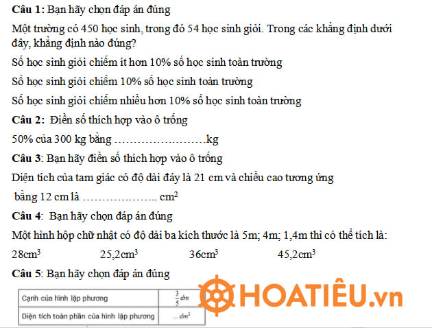 Đề thi VioEdu lớp 5 cấp trường