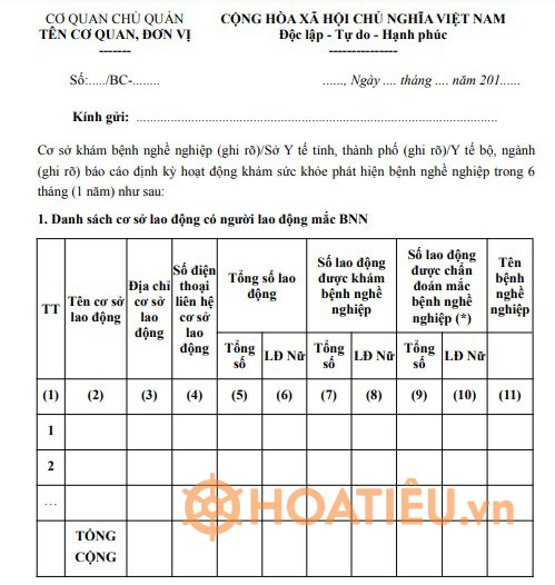 Mẫu báo cáo danh sách các cơ sở lao động có người mắc bệnh nghề nghiệp