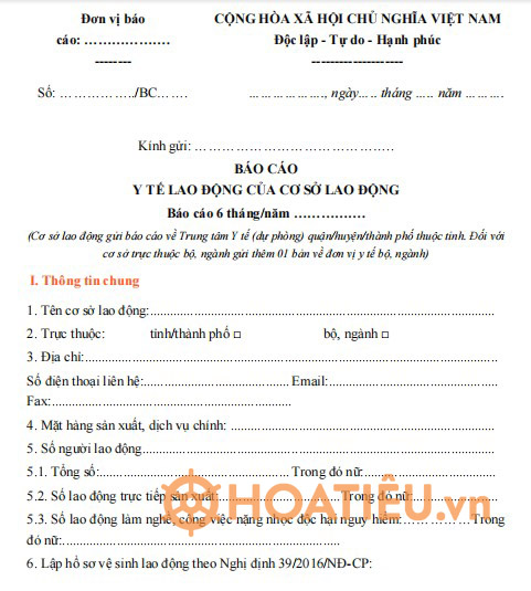 Mẫu báo cáo y tế lao động của cơ sở lao động
