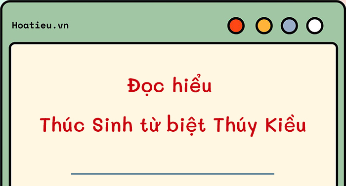 Đọc hiểu Thúc Sinh từ biệt Thúy Kiều (5 đề) - Người lên ngựa kẻ chia ...