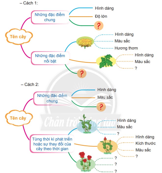 Quan sát một cây hoa em thích và ghi chép lại những điều em quan sát được dựa vào gợi ý