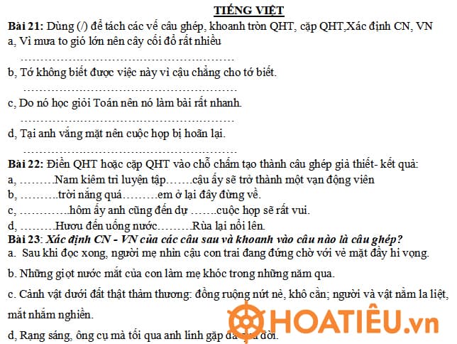  Bài tập Tết lớp 5 môn Tiếng Việt 