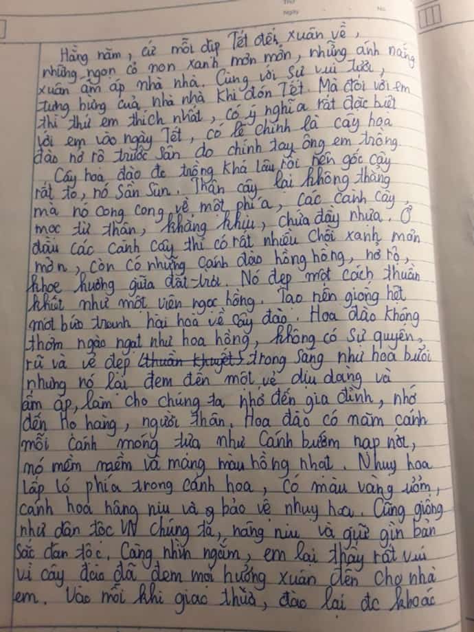 Bài văn tả hoa đào lớp 4 ngắn gọn