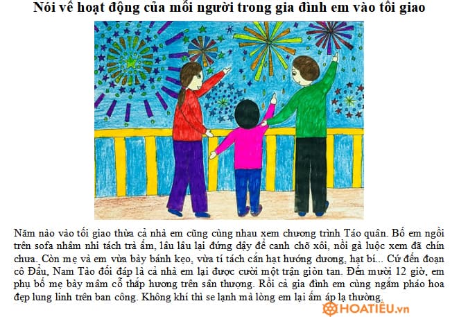 viết 1 đoạn văn khoảng 5 câu nói về hoạt động của mỗi người trong gia đình em vào tối giao thừa