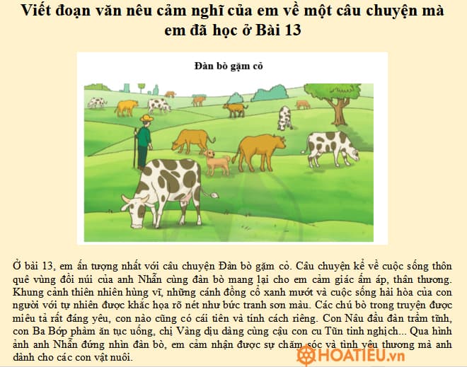 Cảm nghĩ của em về một câu chuyện (bài báo, bài thơ) mà em đã học ở Bài 13
