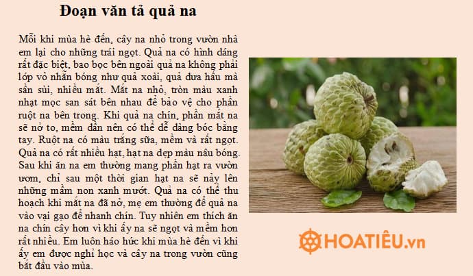 Viết một đoạn văn tả một loại quả mà em thích