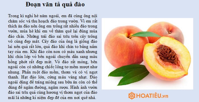 Tả về một loại quả mà em yêu thích