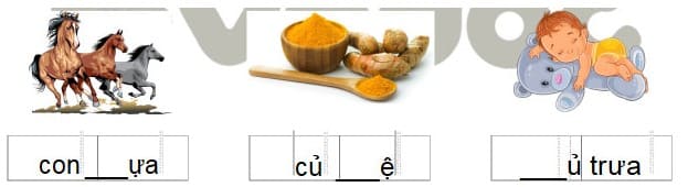 Đề thi giữa kì 2 lớp 1 môn Tiếng Việt sách Cánh Diều