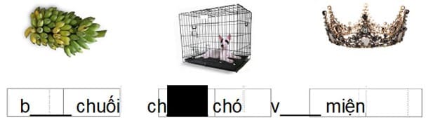 Đề thi giữa kì 2 lớp 1 môn Tiếng Việt sách Cánh Diều