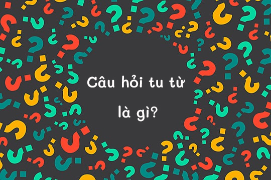 Câu chất vấn tu kể từ là gì