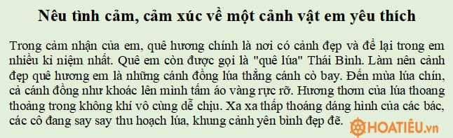 Đoạn văn nêu tình cảm, cảm xúc về một cảnh vật em yêu thích