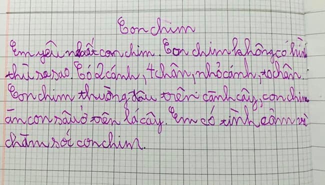 Tả loài chim em thích