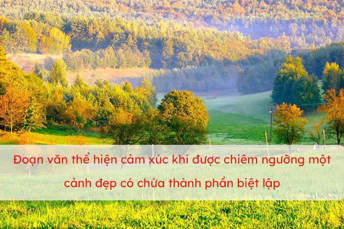 Đoạn văn ghi lại cảm xúc của em khi được chiêm ngưỡng một cảnh đẹp