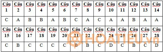Đề thi giữa học kì 2 môn Công nghệ 11 KNTT