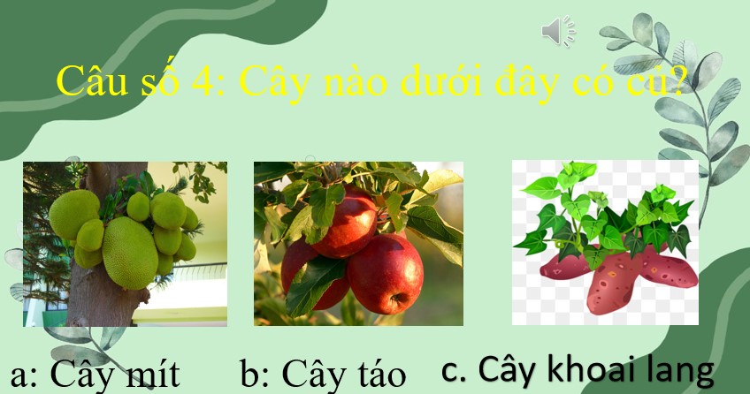 Powerpoint rung chuông vàng tìm hiểu đời sống xã hội cấp mầm non