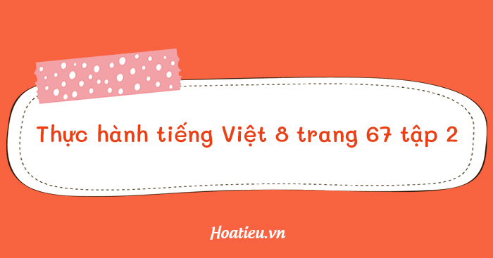 Thực hành tiếng Việt lớp 8 trang 67, 68 Cánh Diều