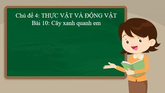 Giáo án PowerPoint Tự nhiên xã hội lớp 1 Cánh Diều