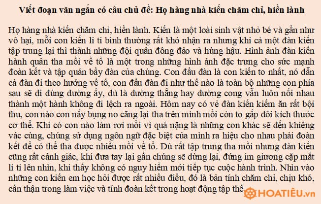 Viết đoạn văn ngắn có câu chủ đề: Họ hàng nhà kiến chăm chỉ, hiền lành