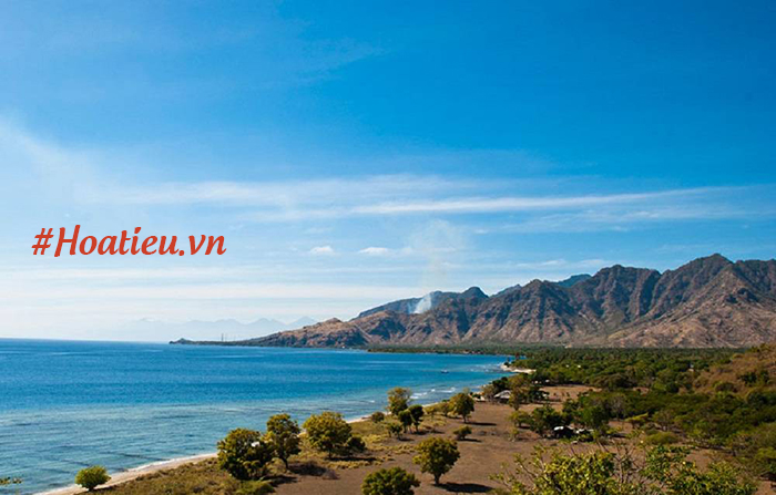 Vì sao việc đọc một cuốn sách được ví như “chuyến du hành vào vùng đất mới” trang 65