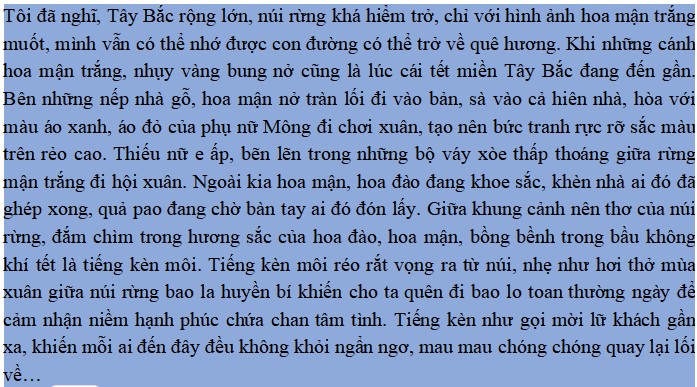 Đọc hiểu Mùa hoa mận