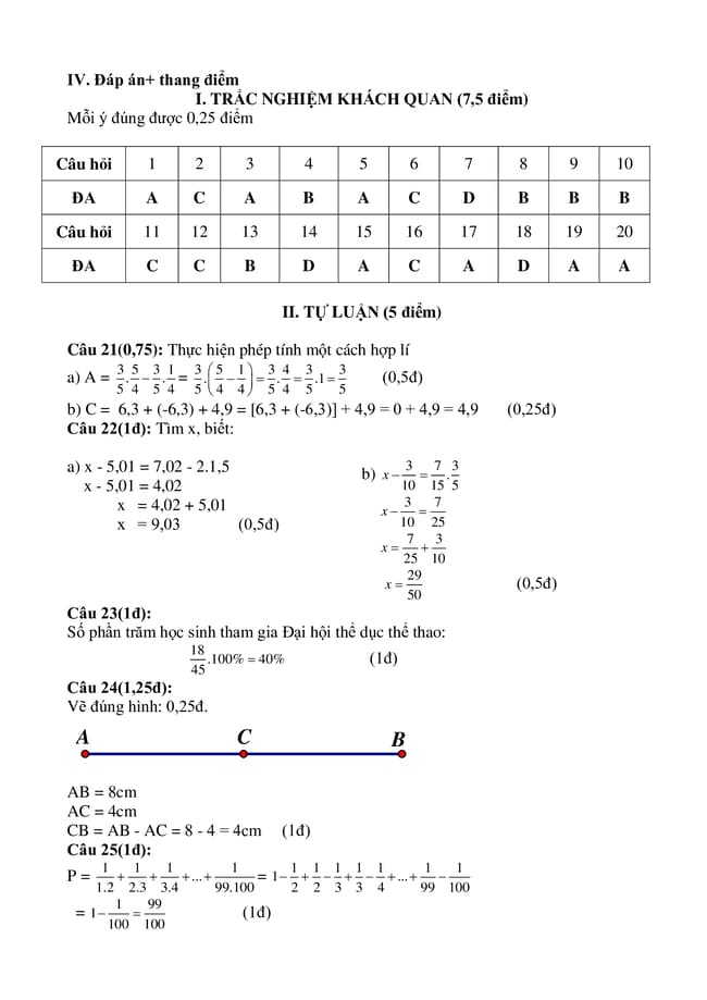 Đề thi giữa kì 2 Toán 6 Cánh Diều