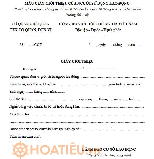 Mẫu giấy giới thiệu của người sử dụng lao động