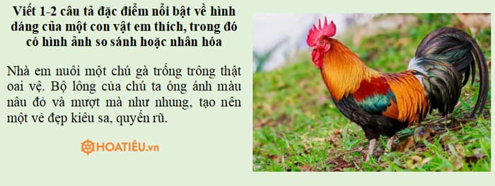 Viết 1-2 câu tả đặc điểm nổi bật về hình dáng hoặc hoạt động, thói quen của một con vật em thích, trong đó có hình ảnh so sánh hoặc nhân hóa