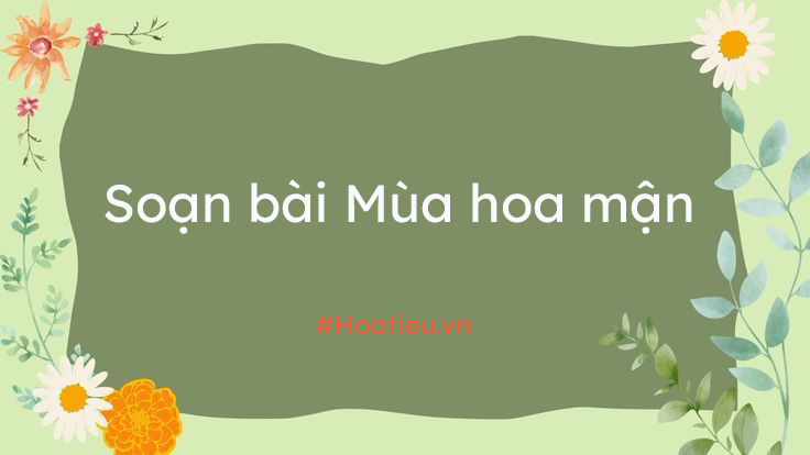 Soạn văn 10 bài Mùa hoa mận 