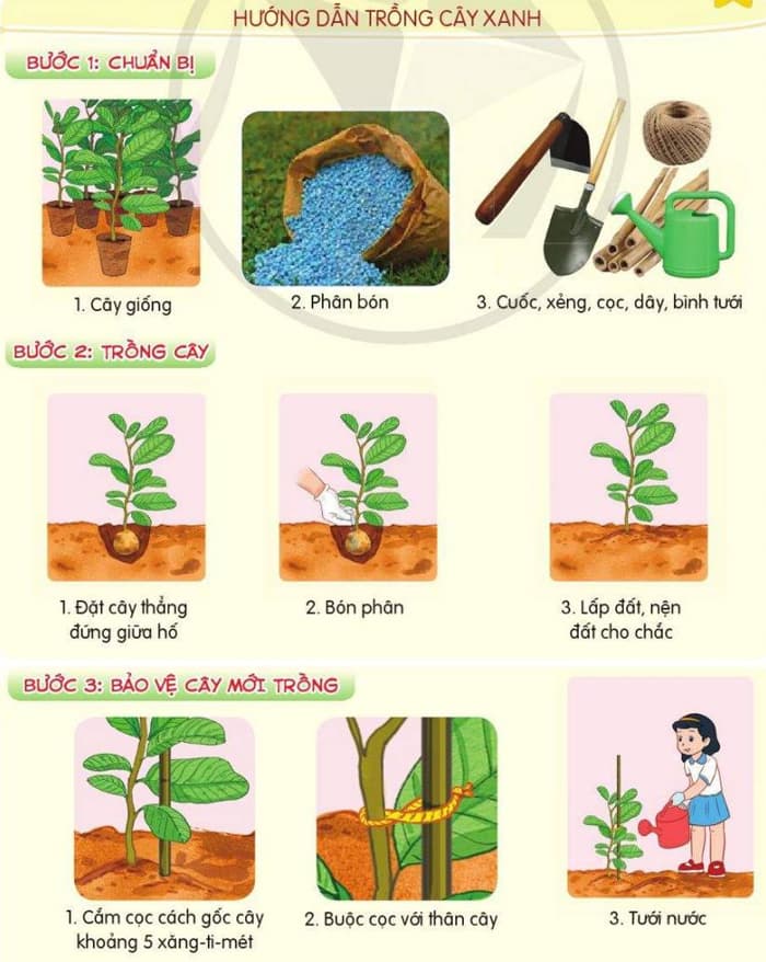 Bạn Lâm dự định viết một bản hướng dẫn trồng cây