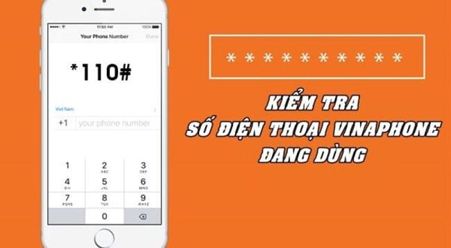 Hướng dẫn cách kiểm tra số điện thoại chính chủ