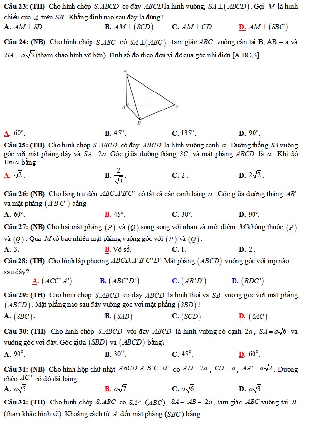 Đề kiểm tra cuối kì 2 Toán 11 Cánh Diều