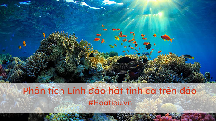 Phân tích bài Lính đảo hát tình ca trên đảo hay